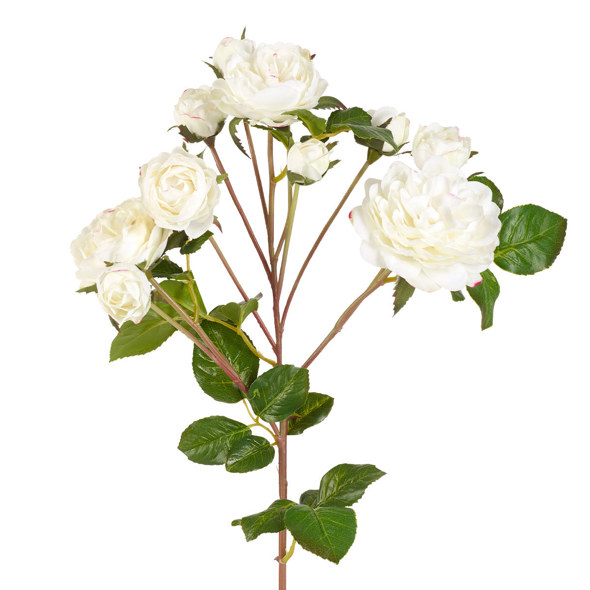 sia-deco-noah-tige-de-roses-artificielle-blanc-50-cm image 5