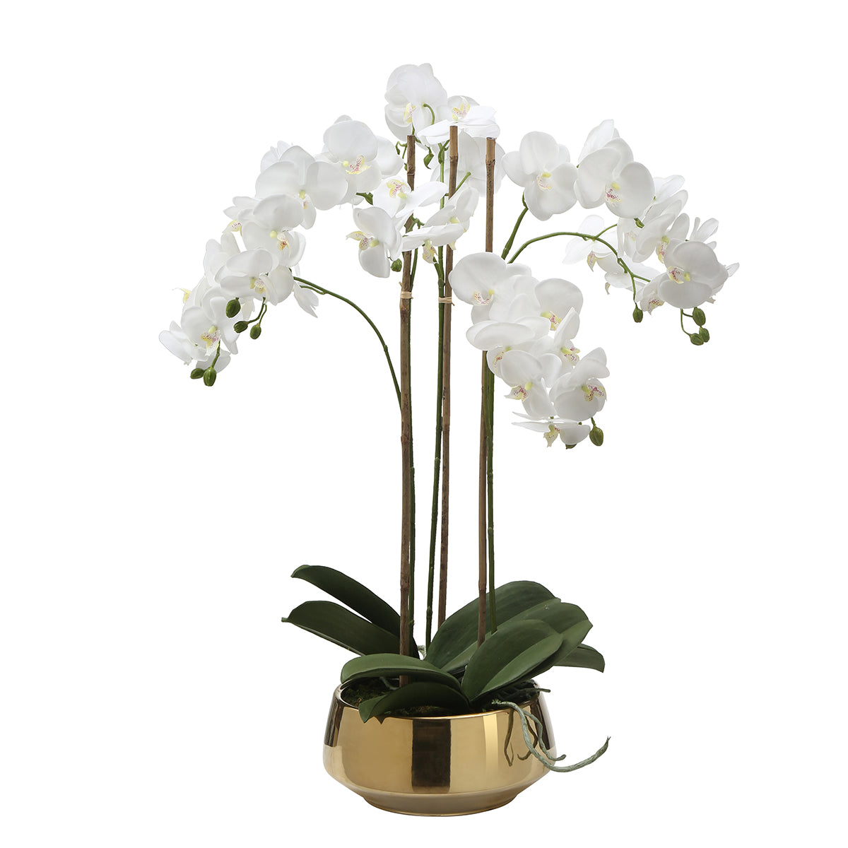 sia-deco-noah-lena-8-branches-orchid-e-artificielle-blanc-vase-dor image 1