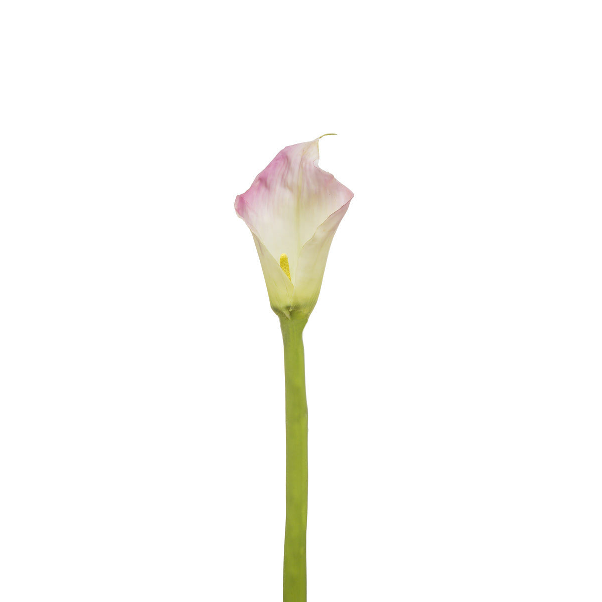 sia-deco-noah-arum-kelly-fleur-artificielle-rose-92-cm image 1