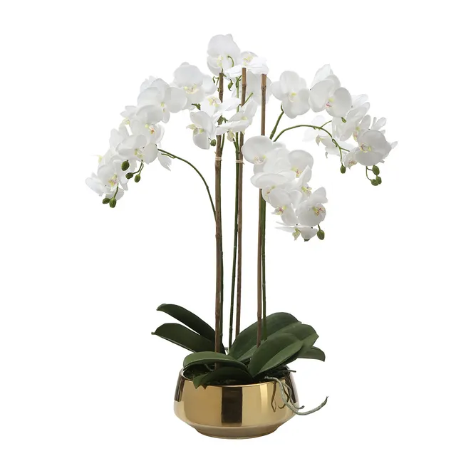 sia-deco-noah-lena-8-branches-orchid-e-artificielle-blanc-vase-dor image 1