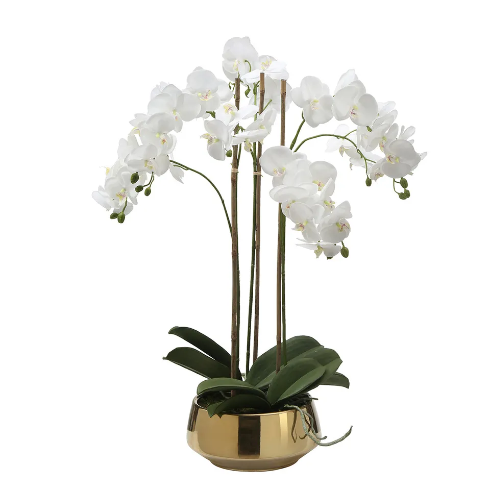 sia-deco-noah-lena-8-branches-orchid-e-artificielle-blanc-vase-dor image 1