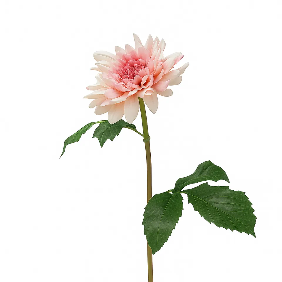 sia-deco-noah-dahlia-premium-50-cm-fleur-artificielle-rose image 1