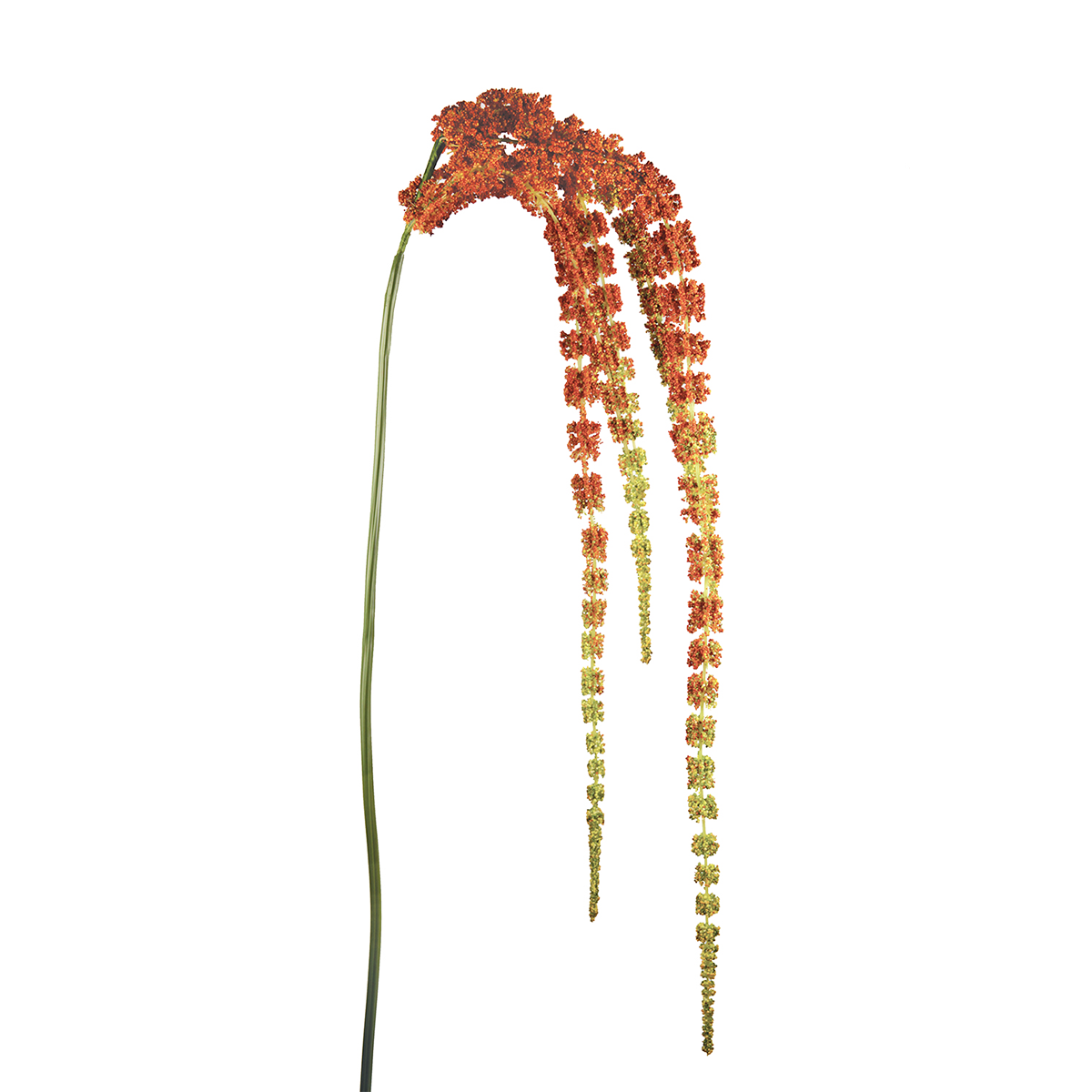 sia-deco-noah-tige-amarante-tombante-orange-137-cm image 1