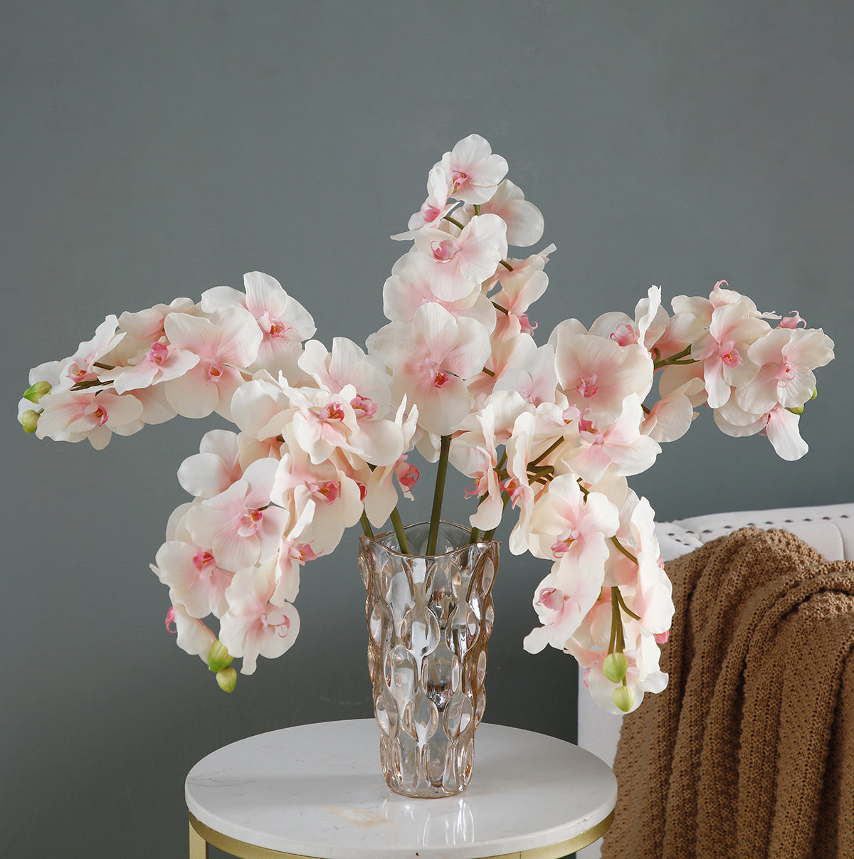 sia-noah-orchid-e-phalaenopsis-fleur-blanche-66-cm image 6