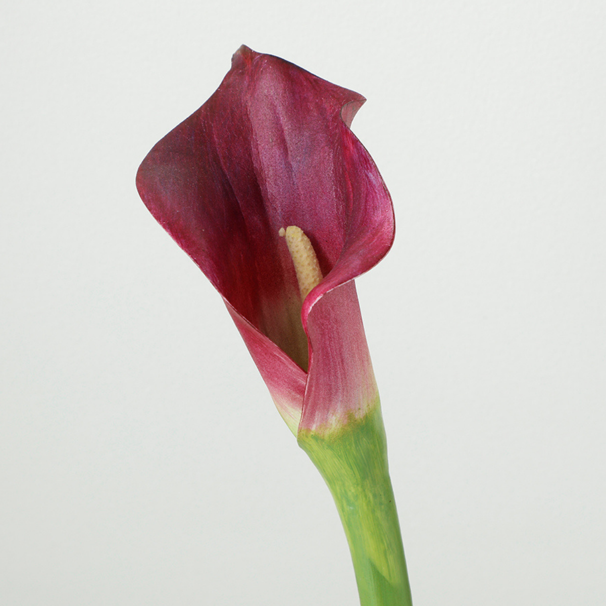 sia-deco-noah-tige-arum-artificielle-75cm-blanc image 8
