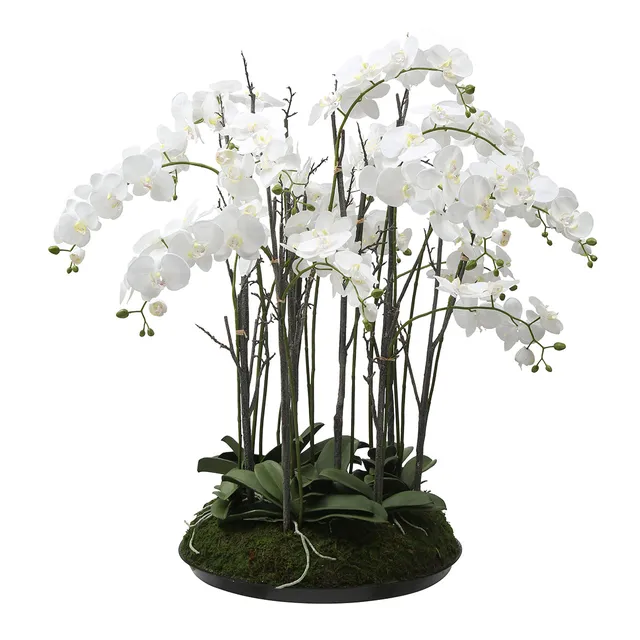 sia-deco-noah-orchid-e-artificielle-blanc-113-cm image 1
