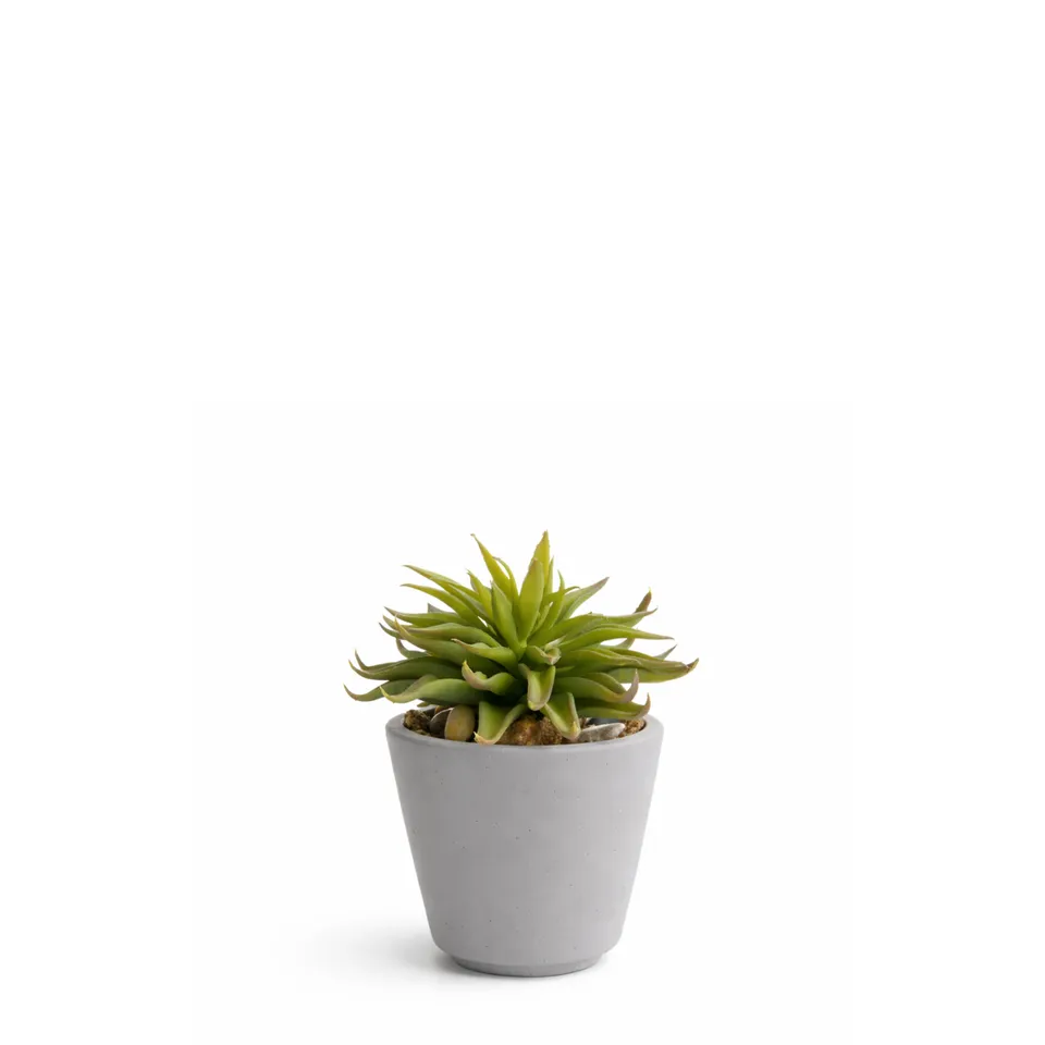 sia-deco-noah-maya-succulente-artificielle-vert-pot-18-cm image 1