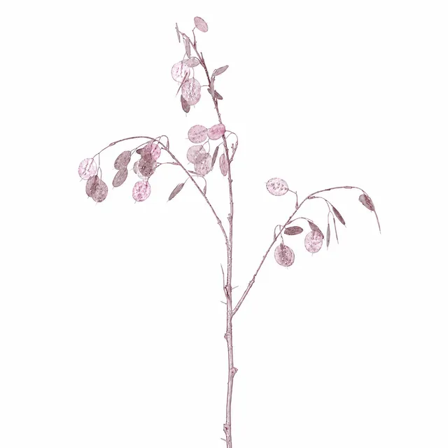 sia-noah-lunaria-feuillage-artificiel-116-cm-rose-m-tal image 1