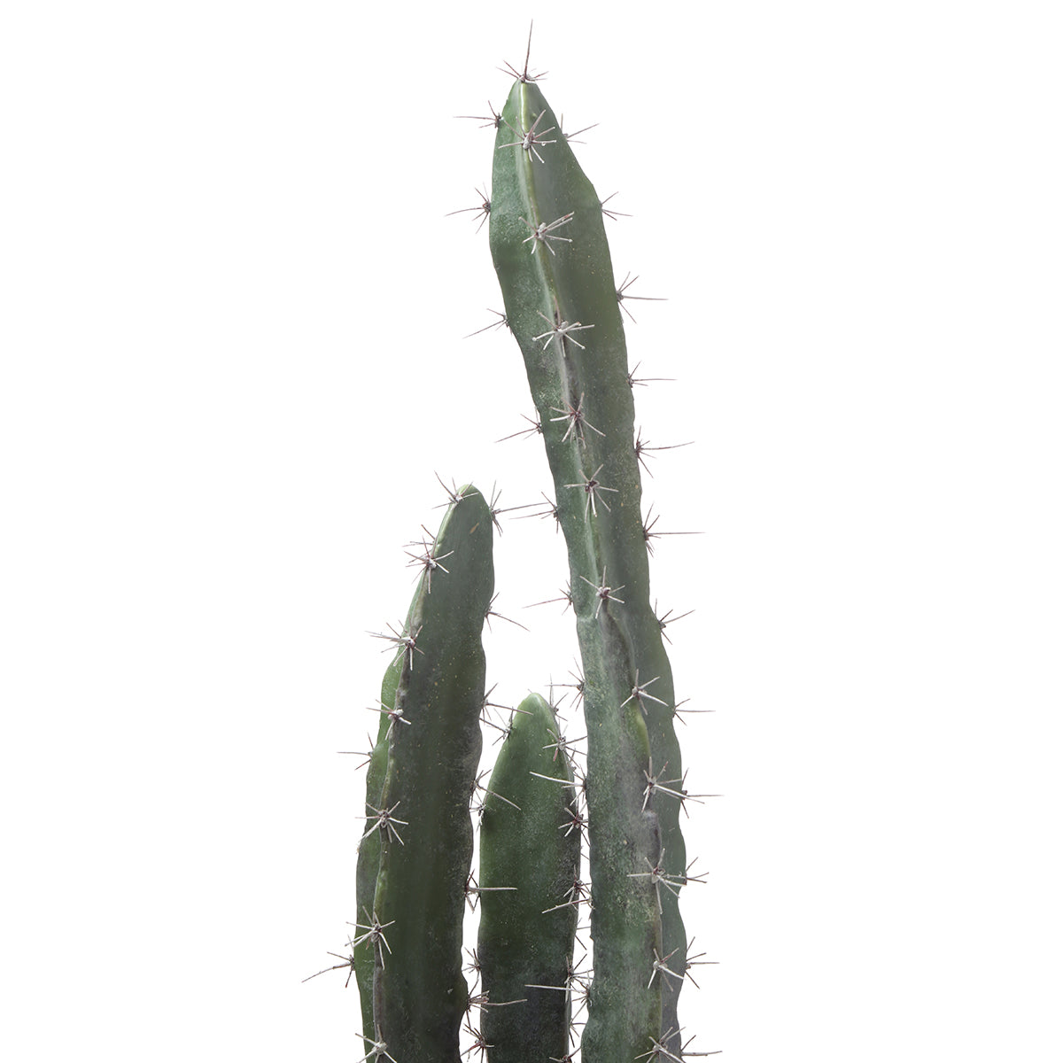 sia-deco-noah-cactus-plante-artificielle-vert-64-cm-pot-gris image 4