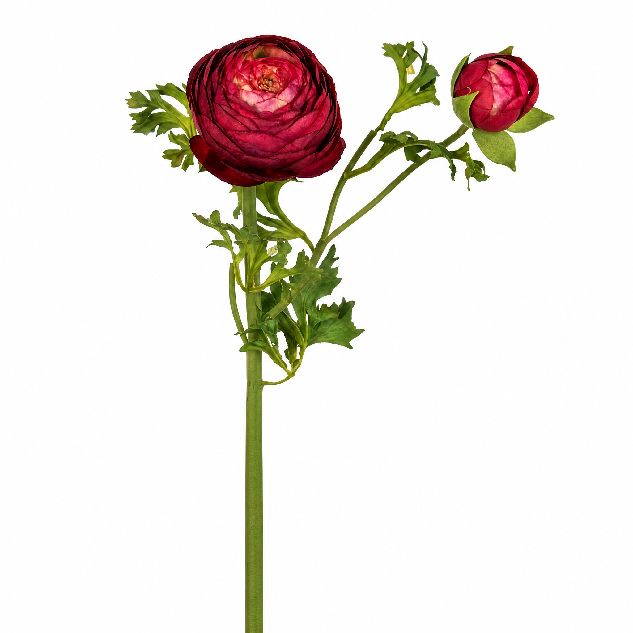sia-noah-tige-renoncule-premium-56-cm-fleur-artificielle-rouge image 3