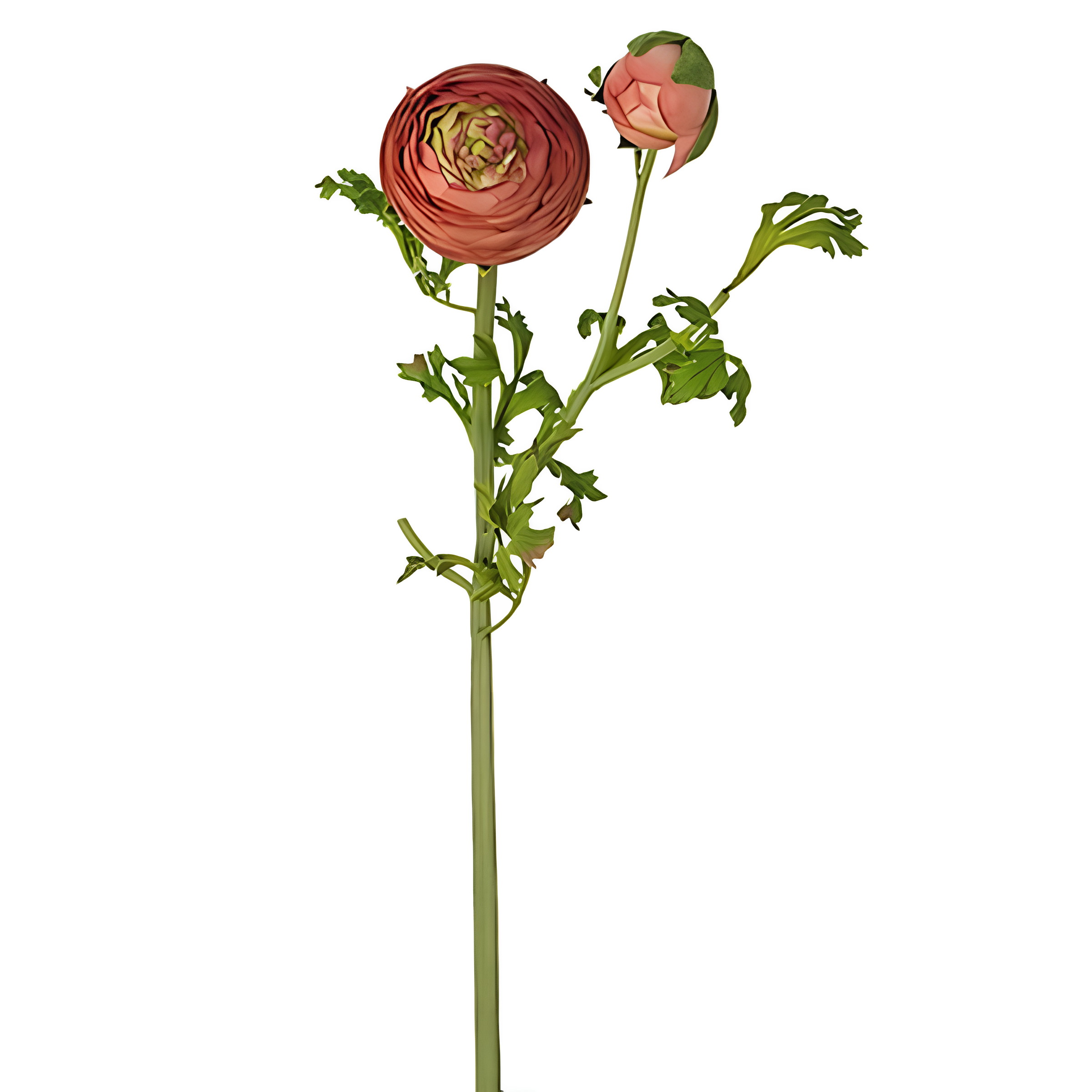 sia-noah-tige-renoncule-premium-56-cm-fleur-artificielle-rouge image 6