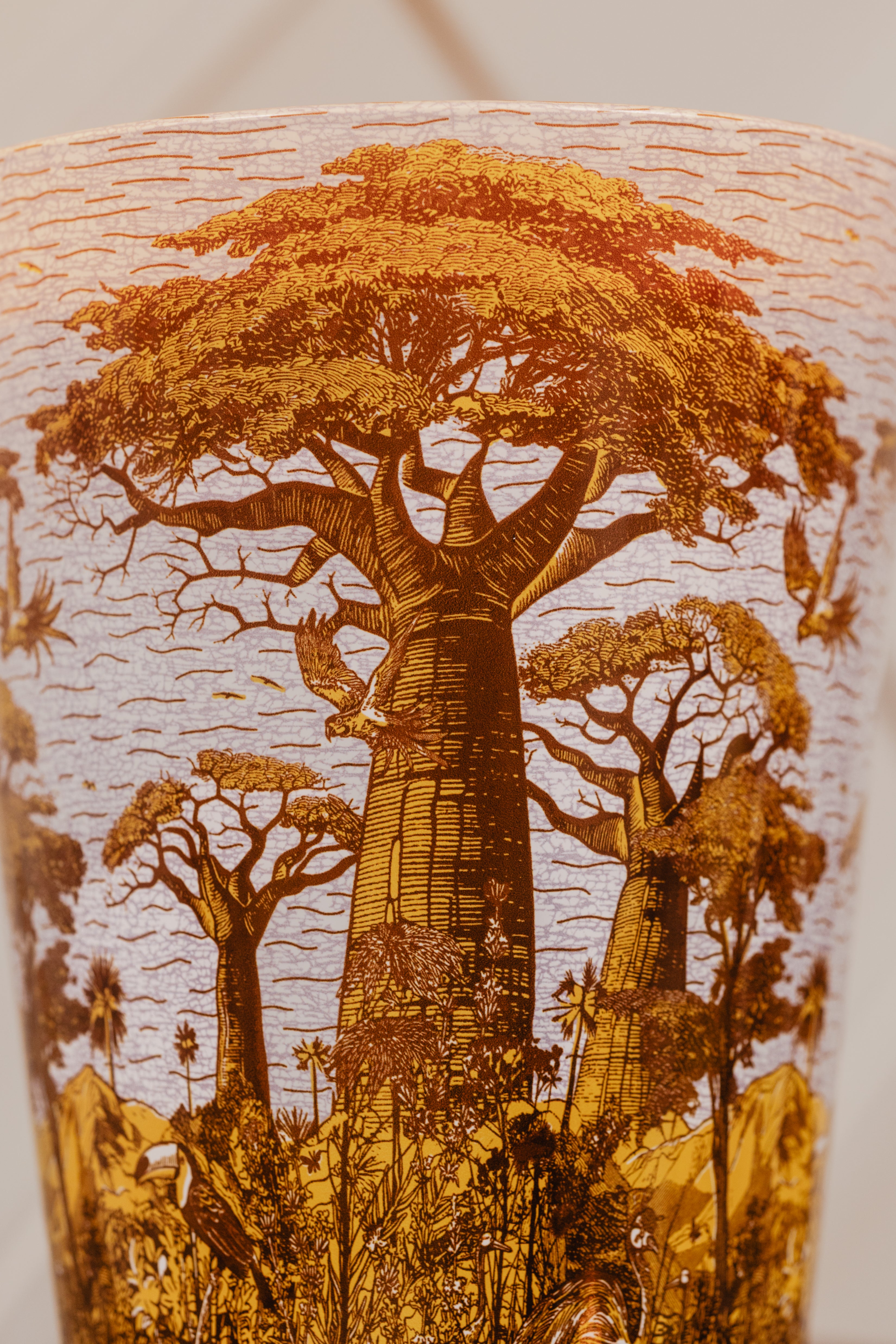 baobab-collection-sacred-trees-bounkani-bougie-parfum-e-classique image 5