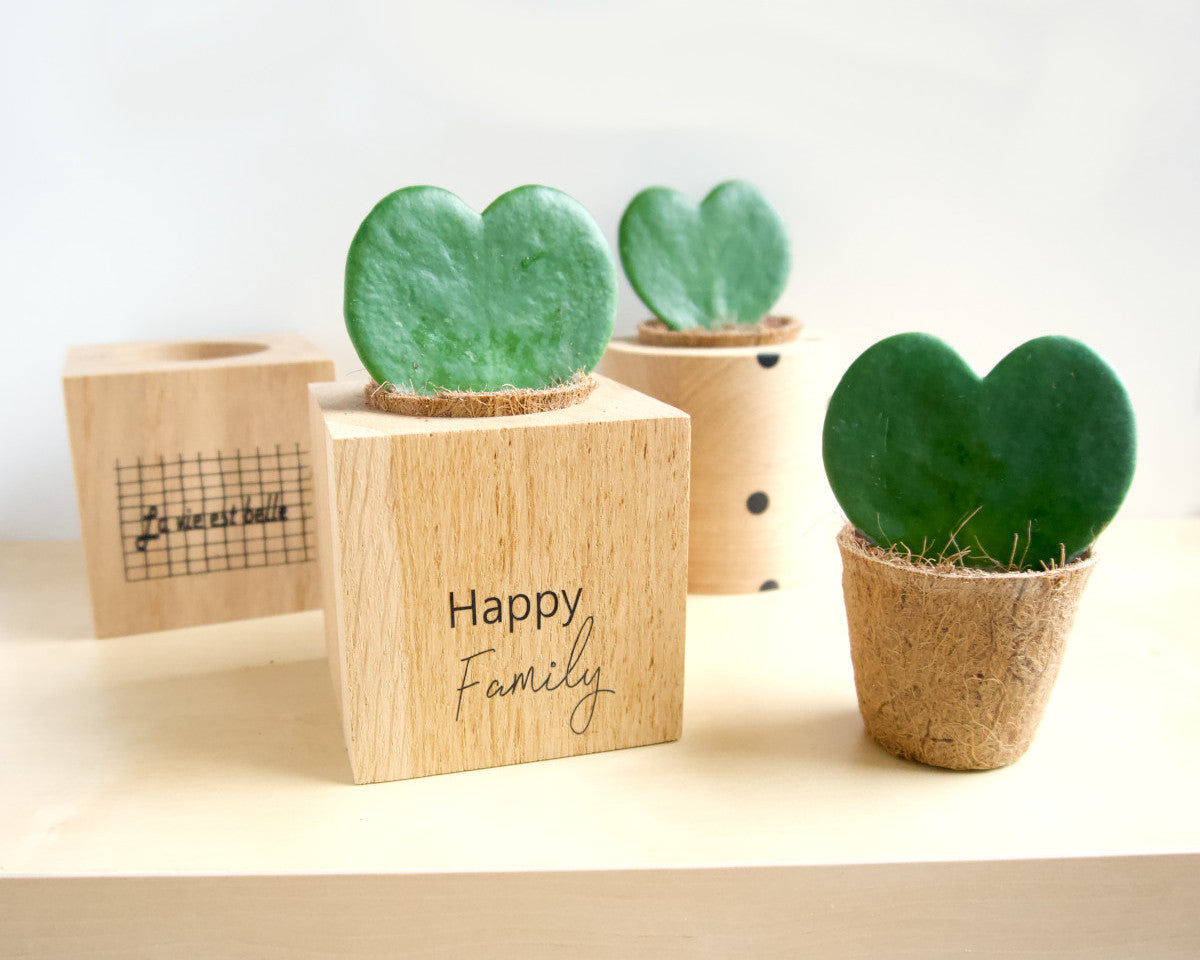 am-cla-happy-family-cache-pot-bois-cube-9x9-ch-ne image 6