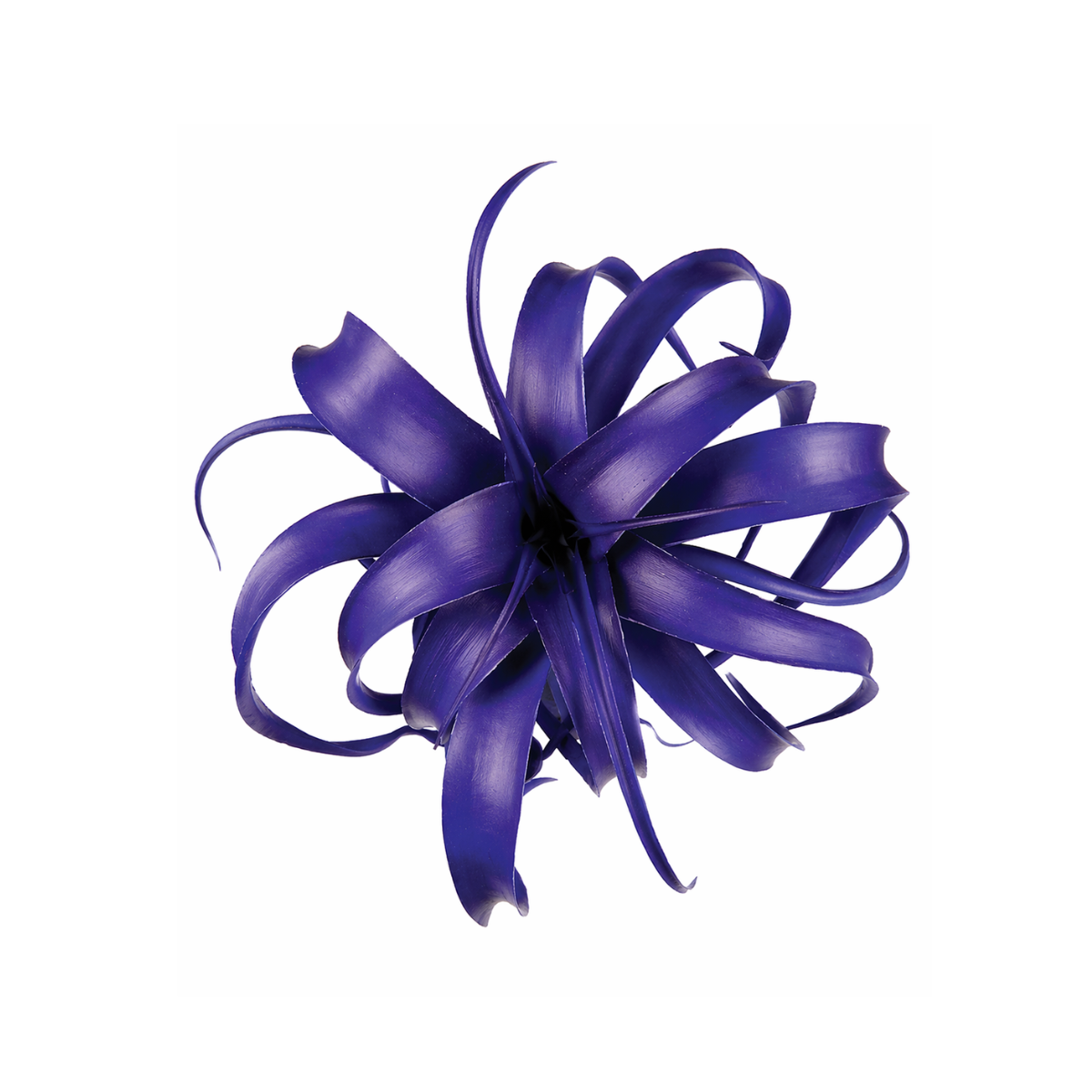 sia-deco-noah-tillandsia-bleue-27-cm-tige-piquer image 1