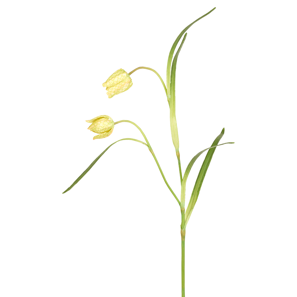 sia-deco-noah-tige-fritillaria-imp-riale-fleur-artificielle-rouge-70-cm image 3