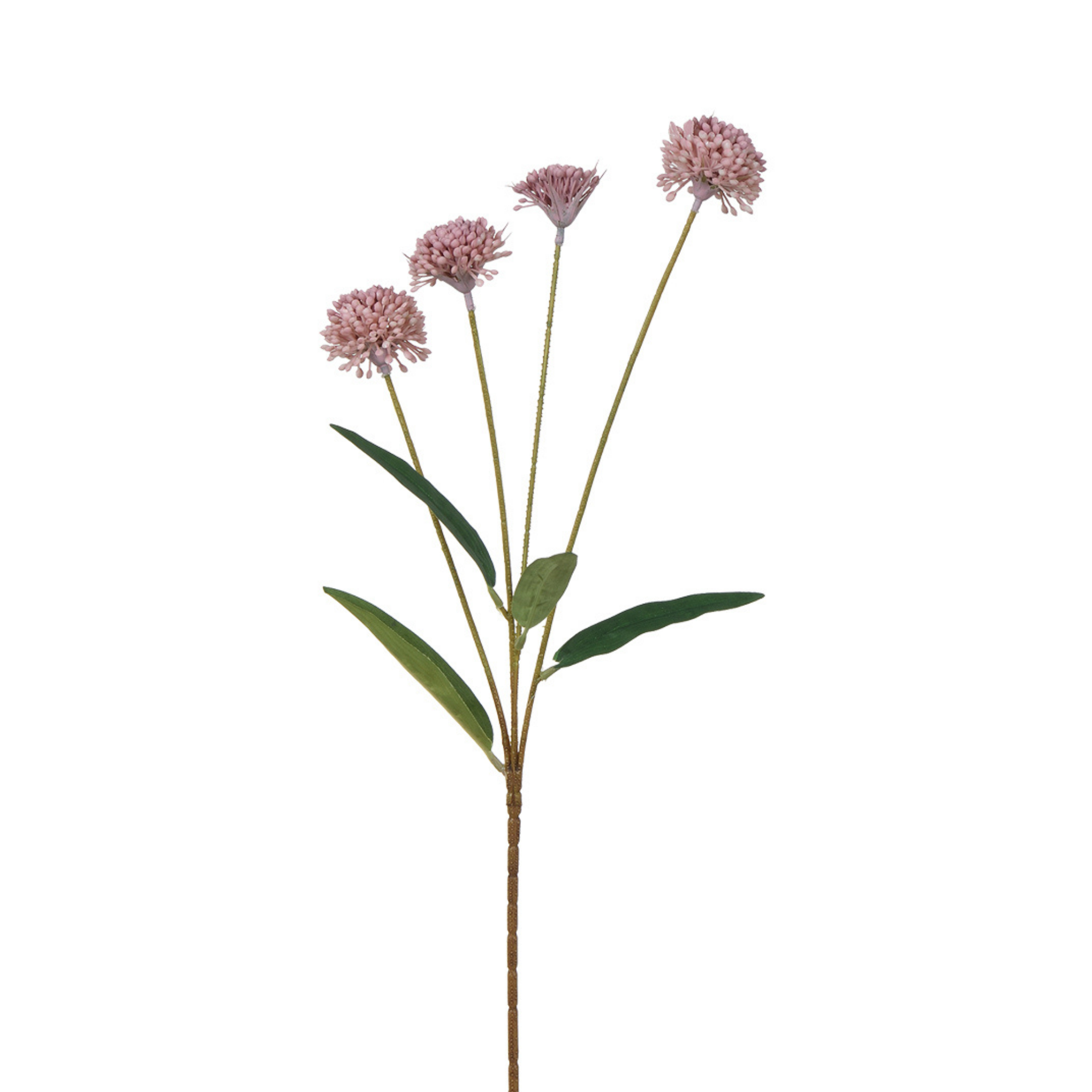 sia-noah-tige-chrysanth-me-ping-pong-60-cm-blanc-rose-violet image 4