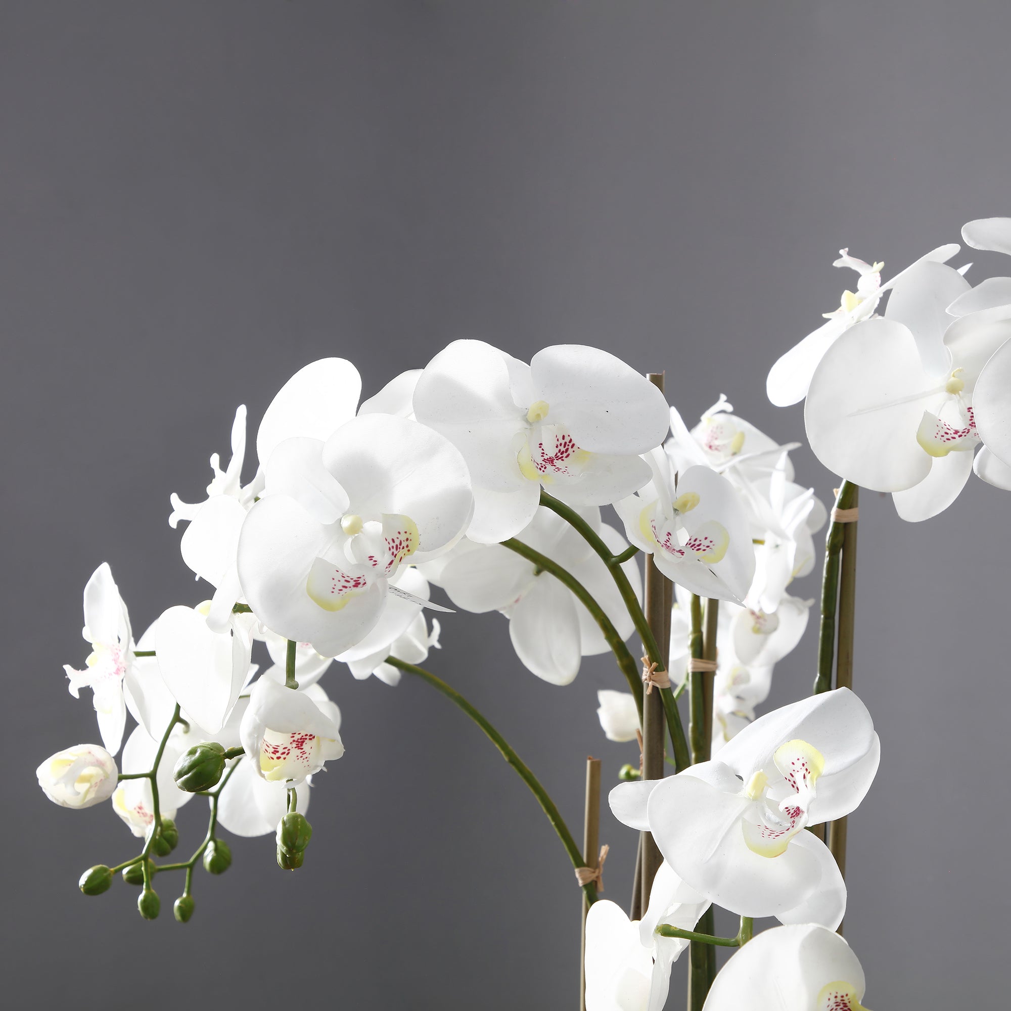 sia-noah-orchid-e-artificielle-blanc-85-cm image 4