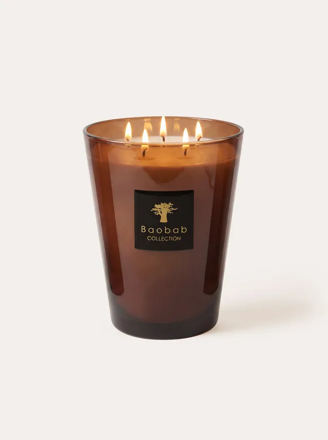 baobab-collection-les-prestigieuses-cuir-de-russie-bougie-classique image 1