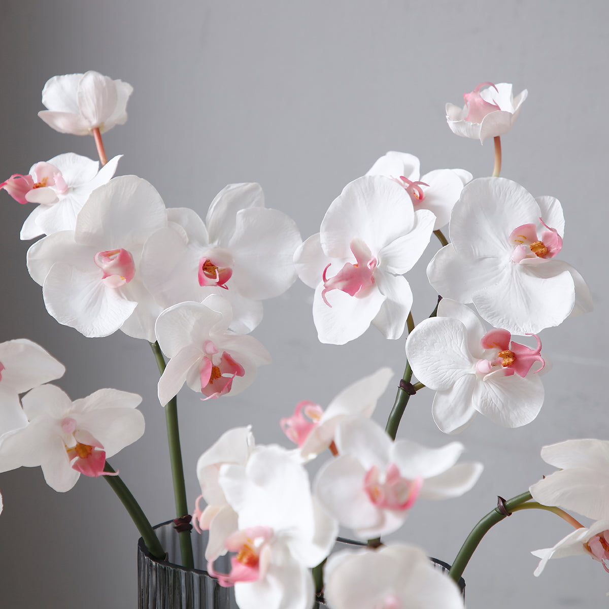 sia-deco-noah-orchid-e-phalaenopsis-blanche-45-cm image 3