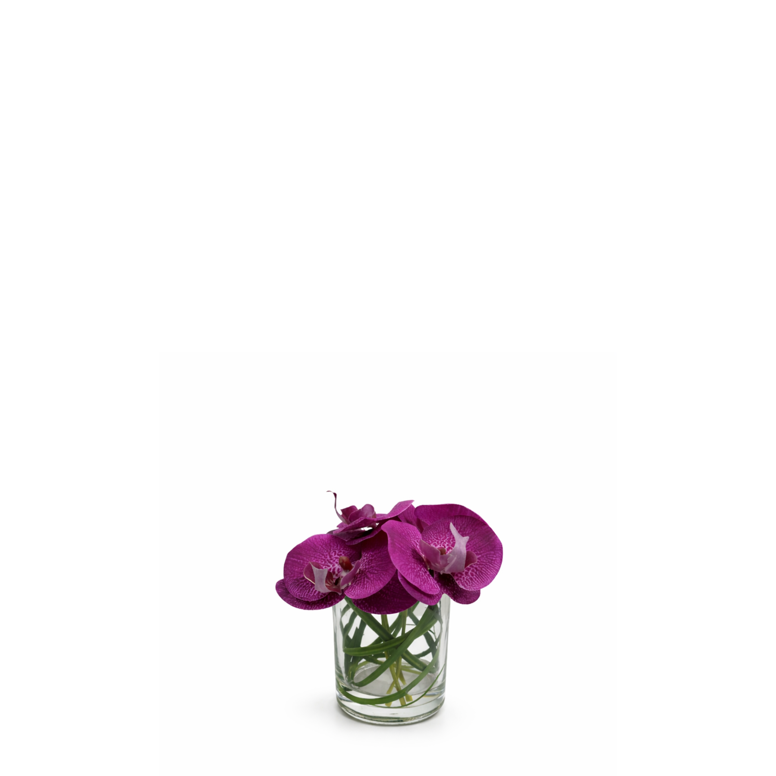 sia-deco-noah-composition-orchid-e-artificielle-vase-blanc image 3