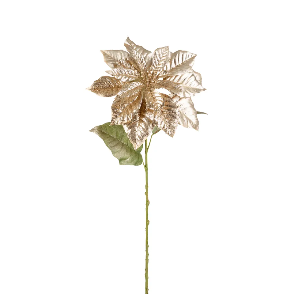 sia-noah-poinsettia-tige-fleur-dor-e-80-cm image 1