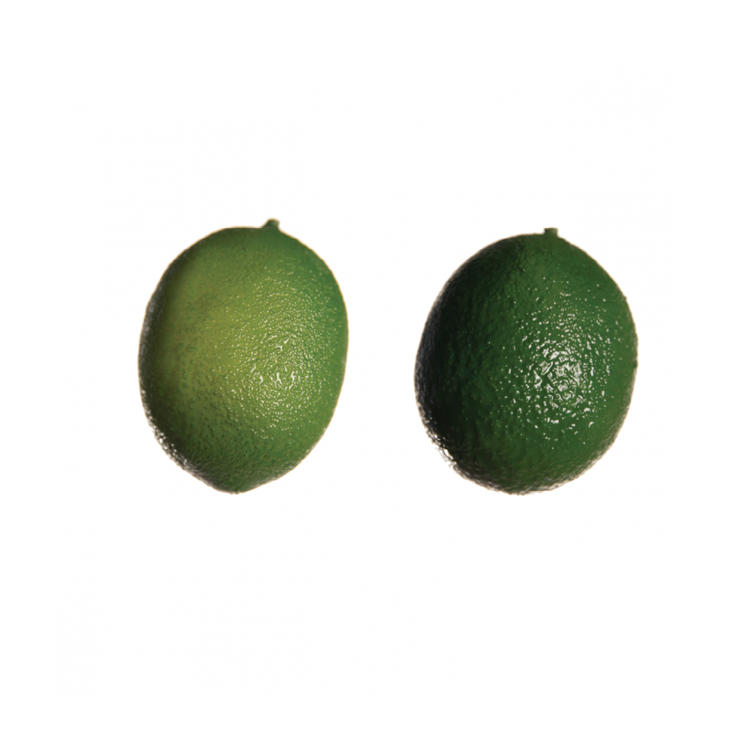 sia-noah-citron-artificiel-5-cm-vert-r-aliste image 3