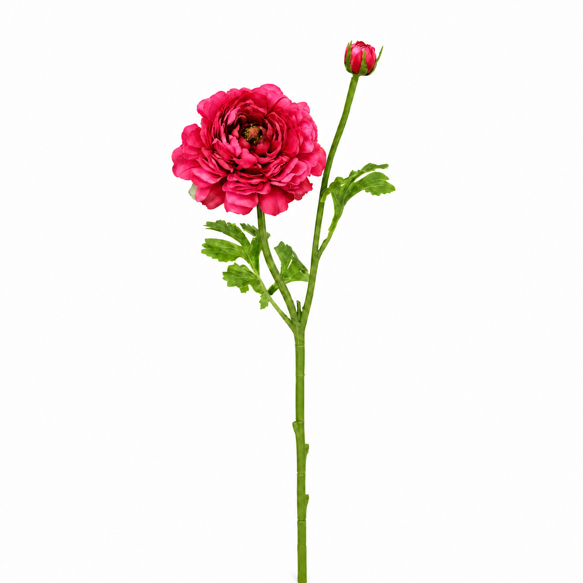 sia-deco-nora-tige-renoncule-artificielle-40-cm-rose-p-le image 5