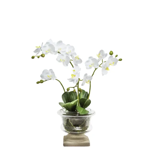 sia-deco-noah-orchid-e-artificielle-blanc-58-cm-pot-verre image 1