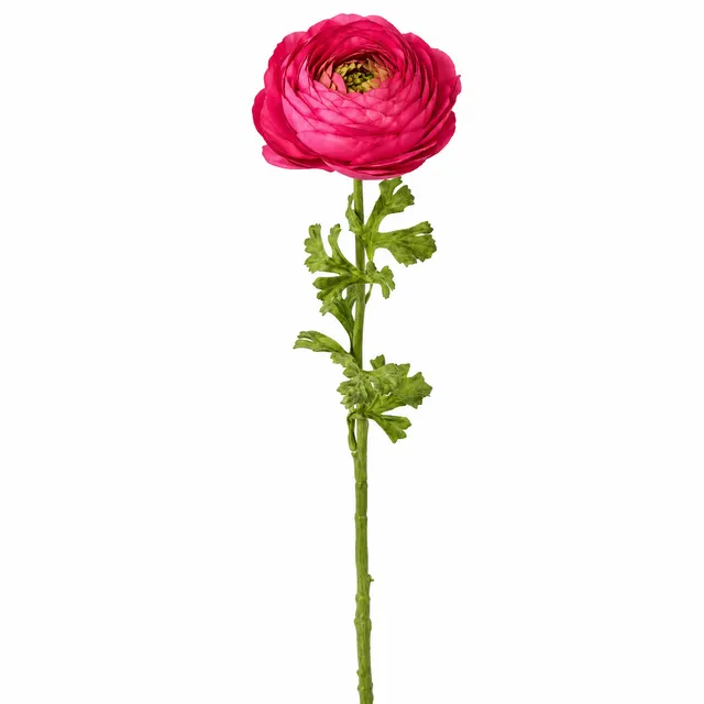 sia-deco-nora-tige-renoncule-ferm-e-fuchsia-40-cm image 1