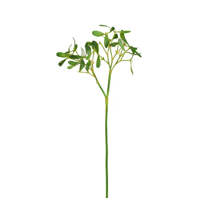 sia-noah-branche-gui-artificiel-vert-68-cm-baies image 1