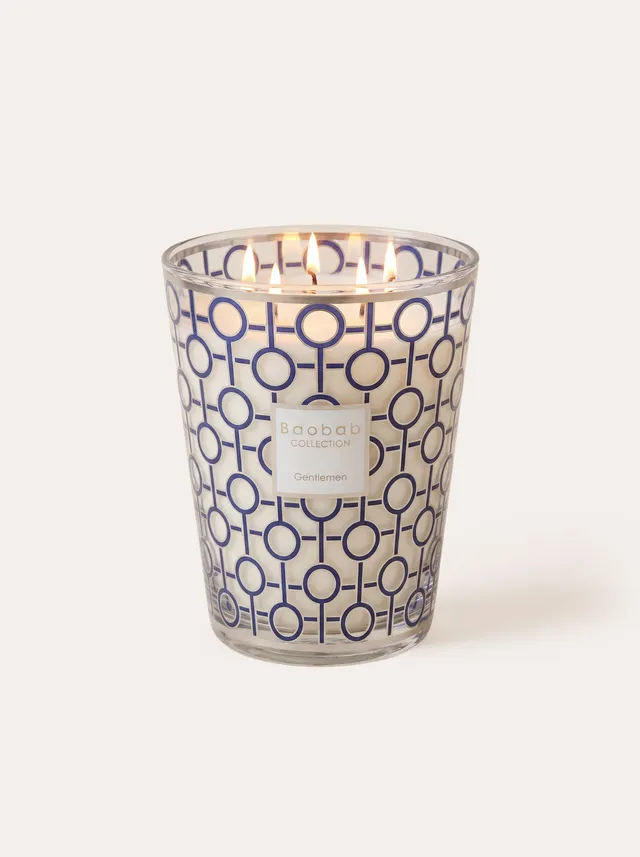 baobab-collection-gentlemen-bougie-parfum-e-classique-190g image 1