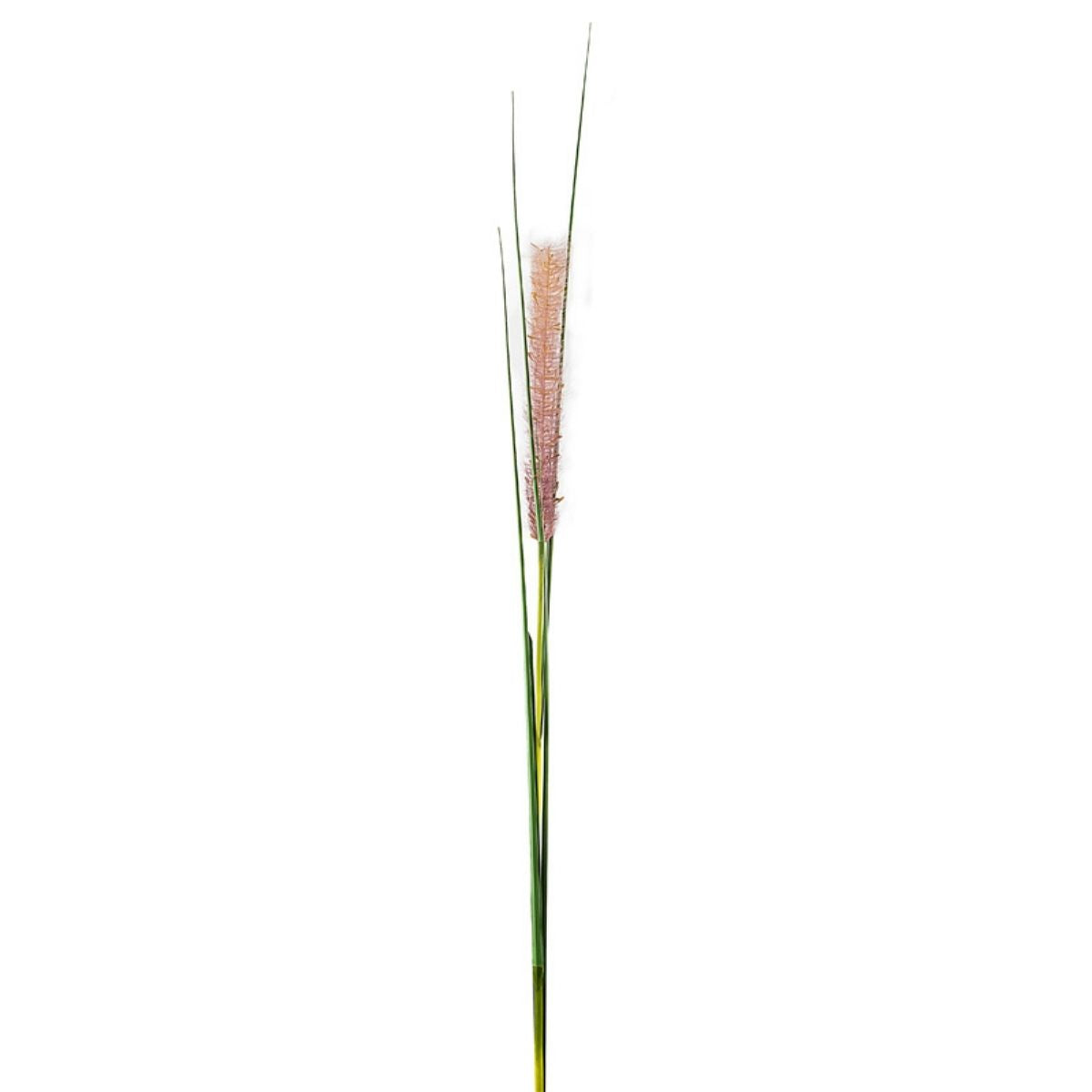 sia-noah-tige-de-gramin-e-artificielle-beige-142-cm image 1