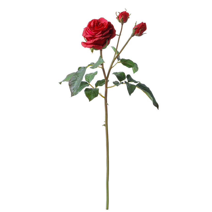 sia-deco-noah-tige-rose-artificielle-55-cm-rouge-premium image 5