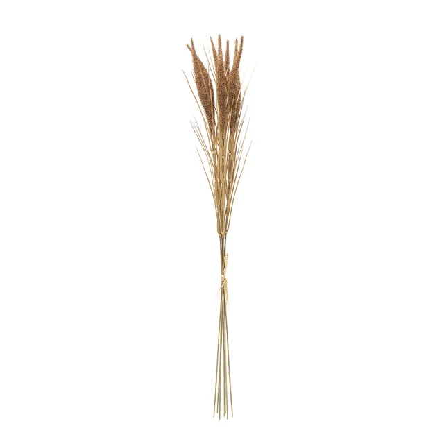 sia-deco-noah-bouquet-pampa-7-tiges-beige-80-cm image 1