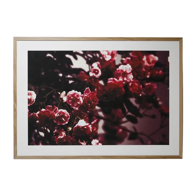 sia-victoria-cadre-photo-blossom-beige-104x74-cm image 1