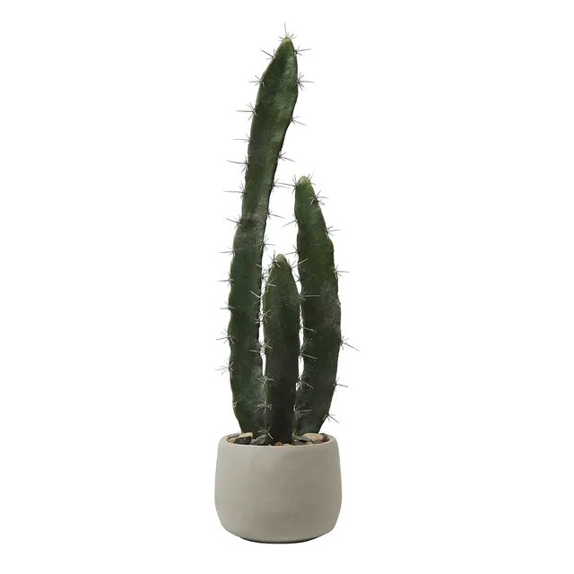 sia-deco-noah-cactus-plante-artificielle-vert-64-cm-pot-gris image 1
