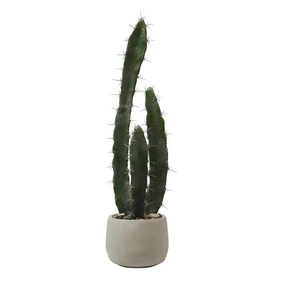 sia-deco-noah-cactus-plante-artificielle-vert-64-cm-pot-gris image 1