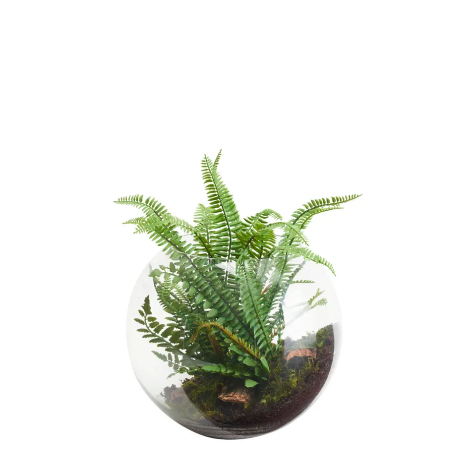 sia-deco-noah-composition-suspendre-foug-re-terrarium-vert-28-cm image 1