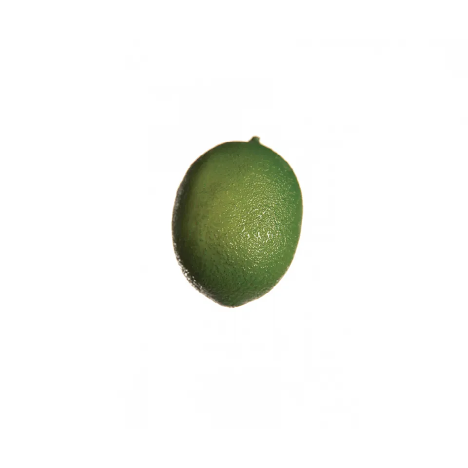 sia-noah-citron-artificiel-5-cm-vert-r-aliste image 1