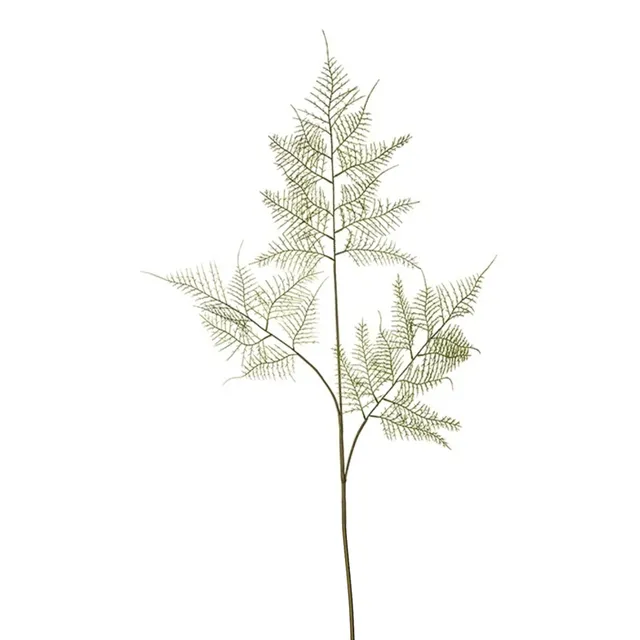 sia-deco-noah-feuillage-asparagus-90-cm-vert image 1
