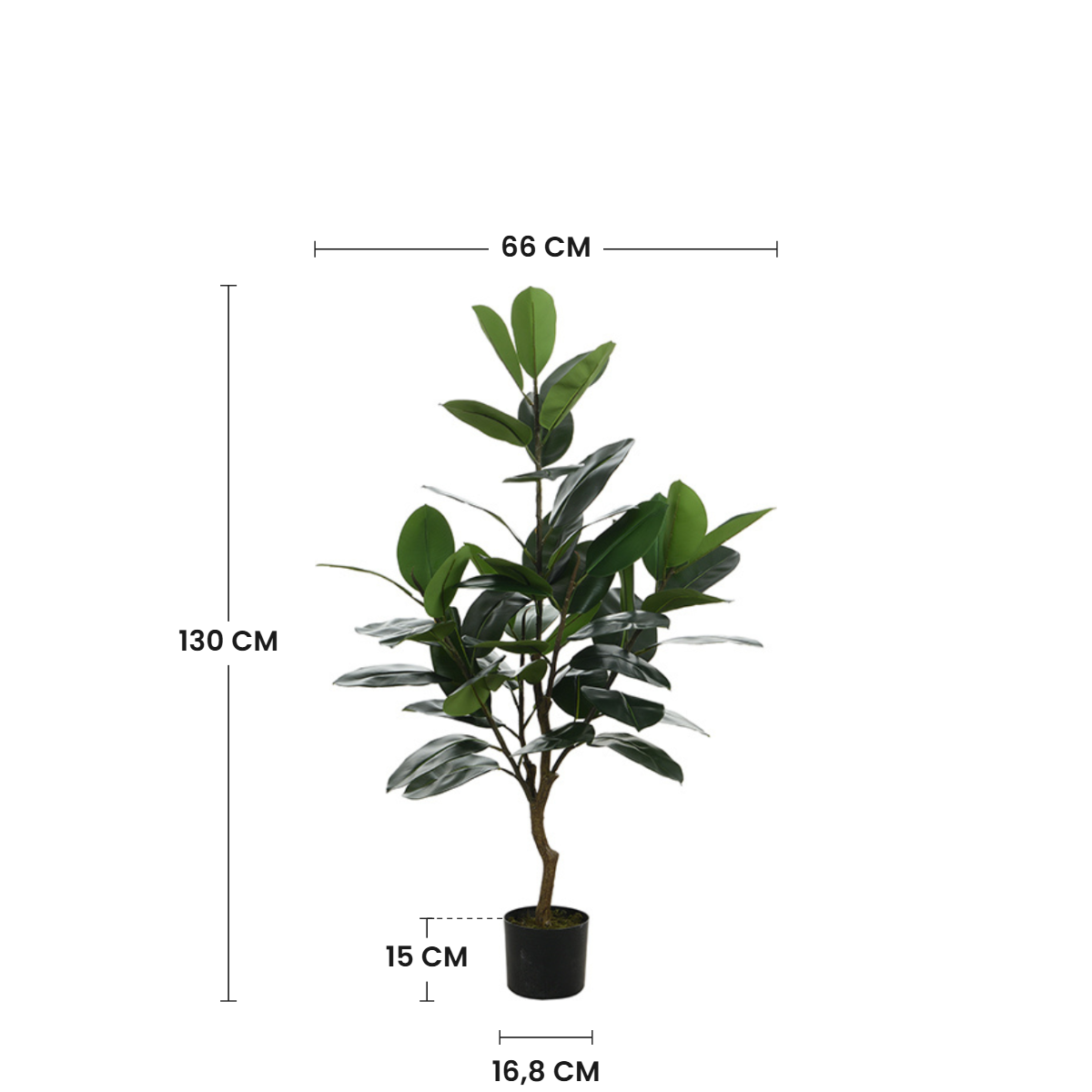 sia-noah-ficus-en-pot-vert-130-cm-elastica image 3
