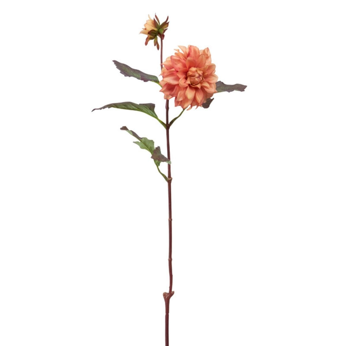 sia-deco-noah-tige-dahlia-waterlily-fleur-artificielle-cr-me-64-cm image 3