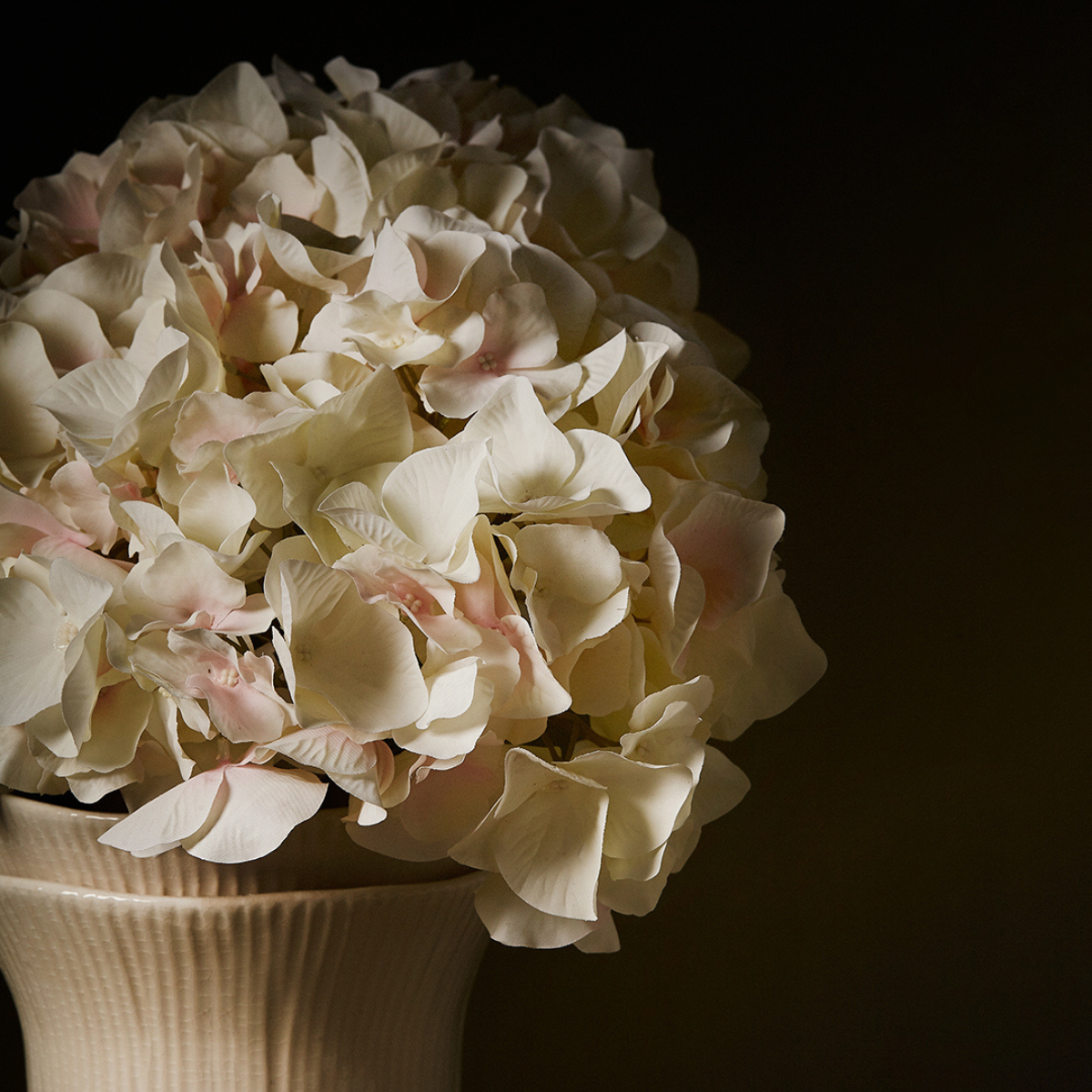 sia-deco-antica-vase-grow-22-cm-blanc-gr-s image 4