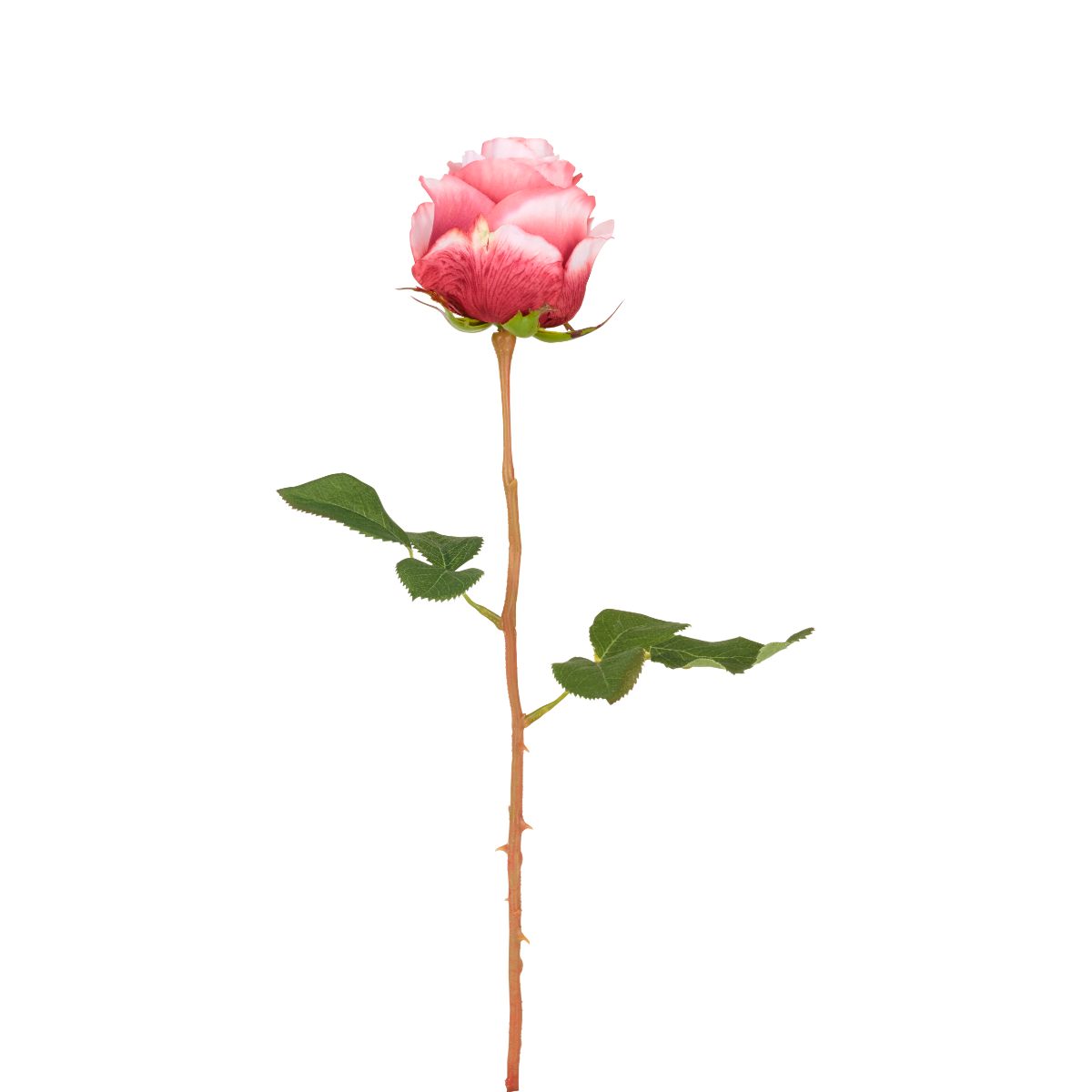 sia-noah-rose-kate-tige-fleur-artificielle-jaune-49-cm image 4