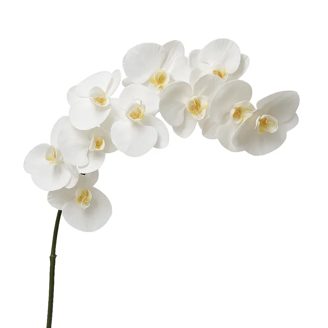 sia-deco-noah-orchid-e-artificielle-premium-blanc-86-cm image 1