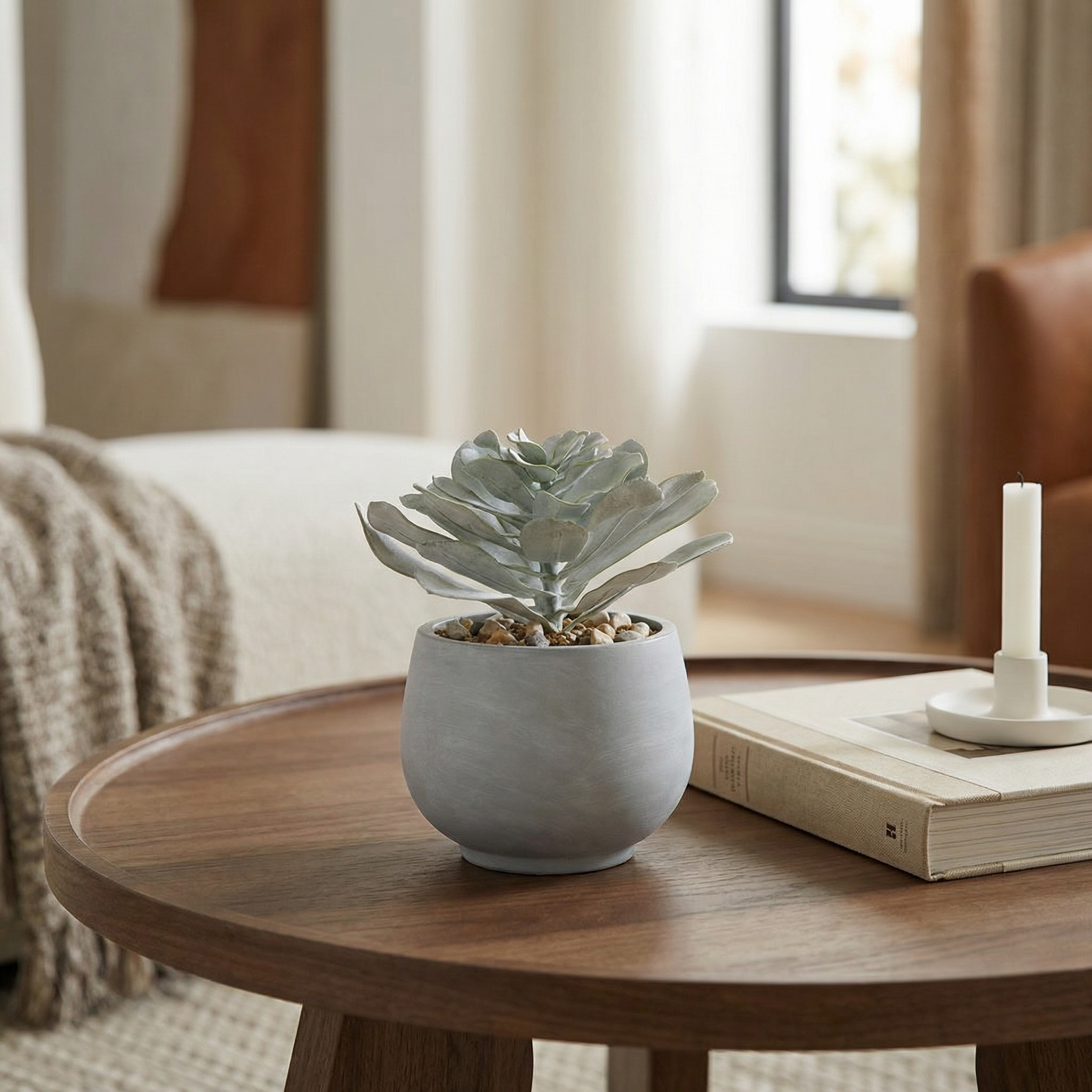 sia-noah-succulente-artificielle-verte-pot-ciment image 2
