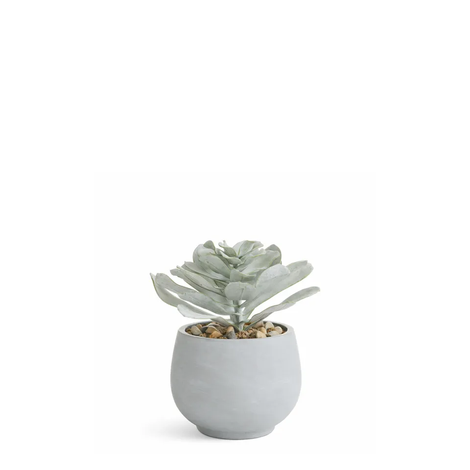 sia-noah-succulente-artificielle-verte-pot-ciment image 1