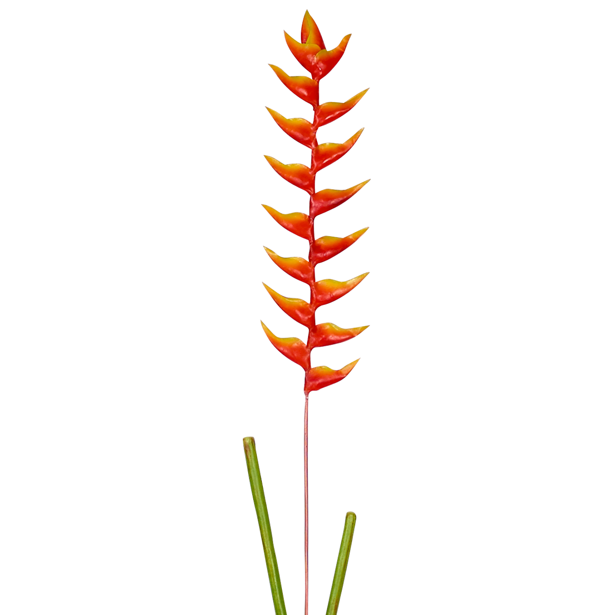 sia-noah-heliconia-tige-artificielle-orange-94-cm image 4