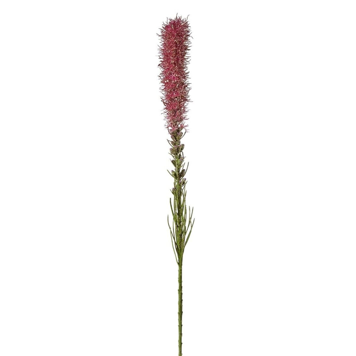 sia-deco-noah-tige-liatris-paillet-e-violette-80-cm image 4