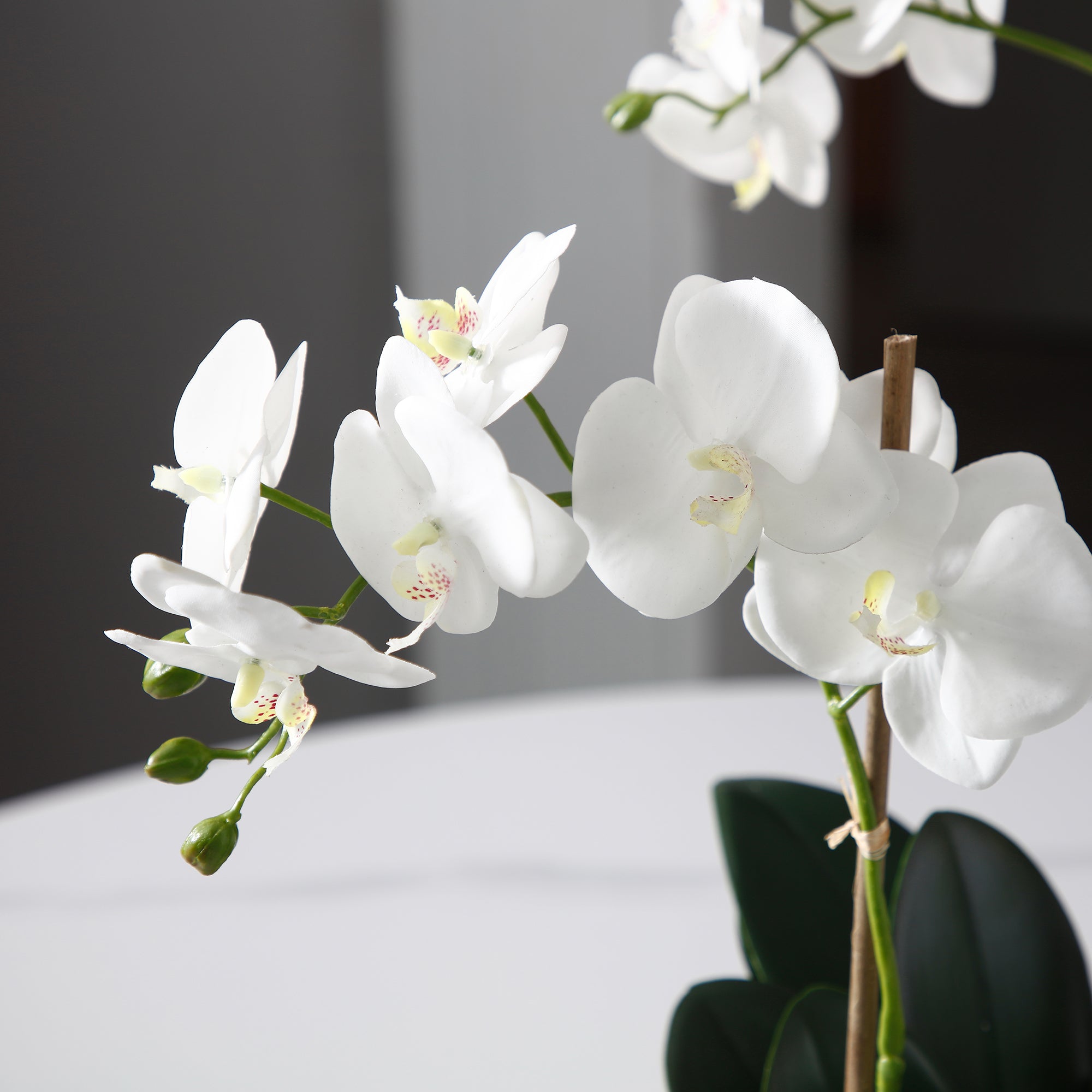 sia-deco-noah-lena-orchid-e-56-cm-plante-blanc-2-branches image 3